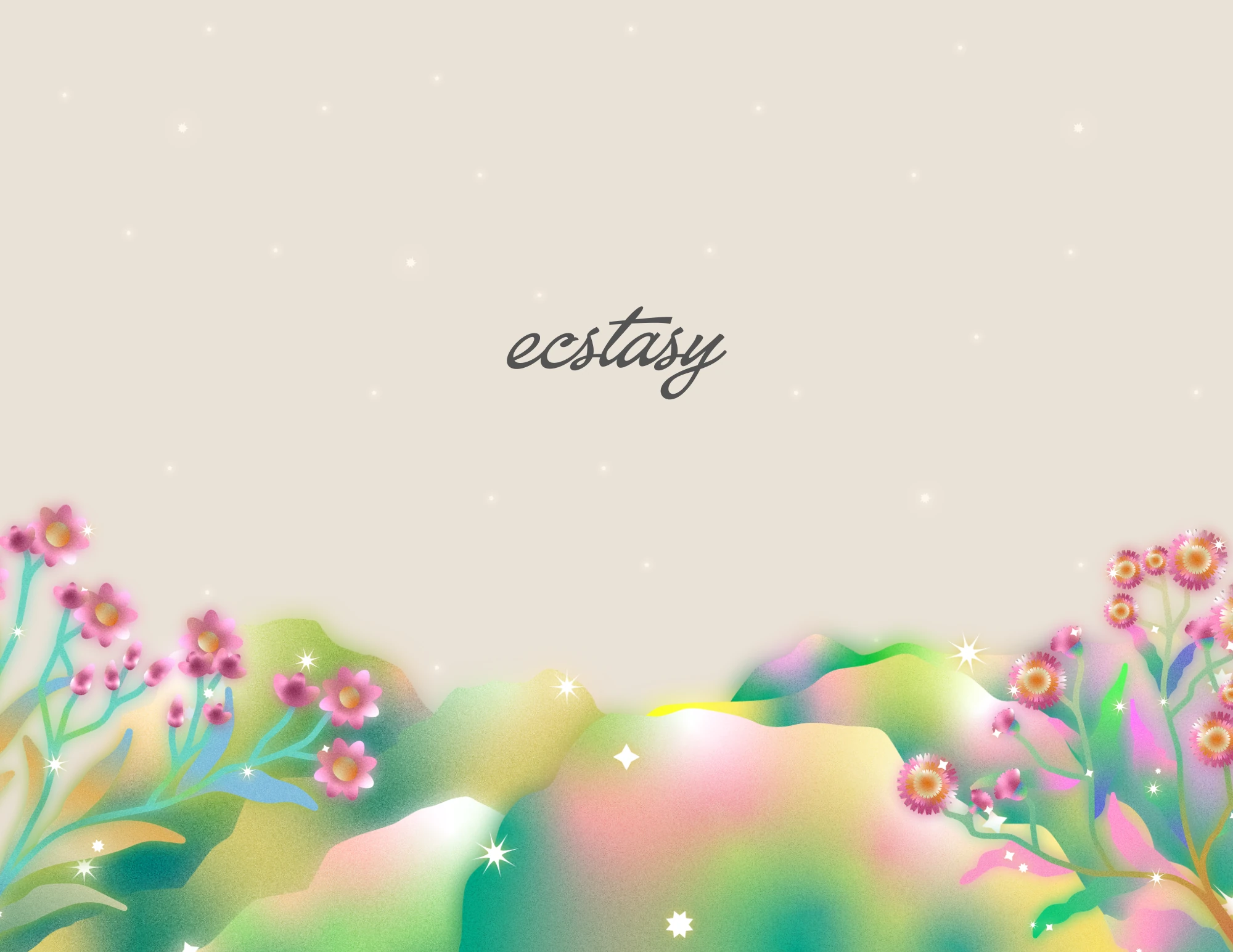 Solstice Edition — back cover
