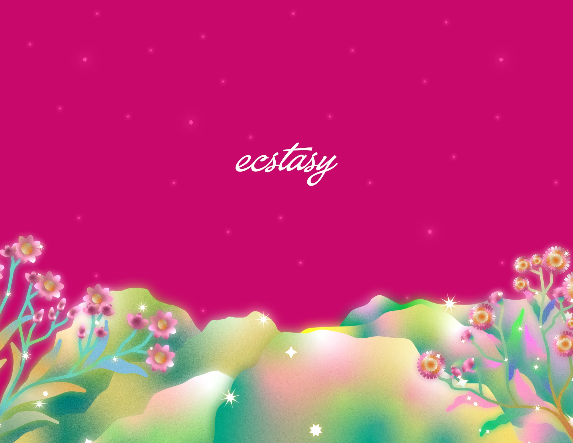 Fiesta Edition — back cover