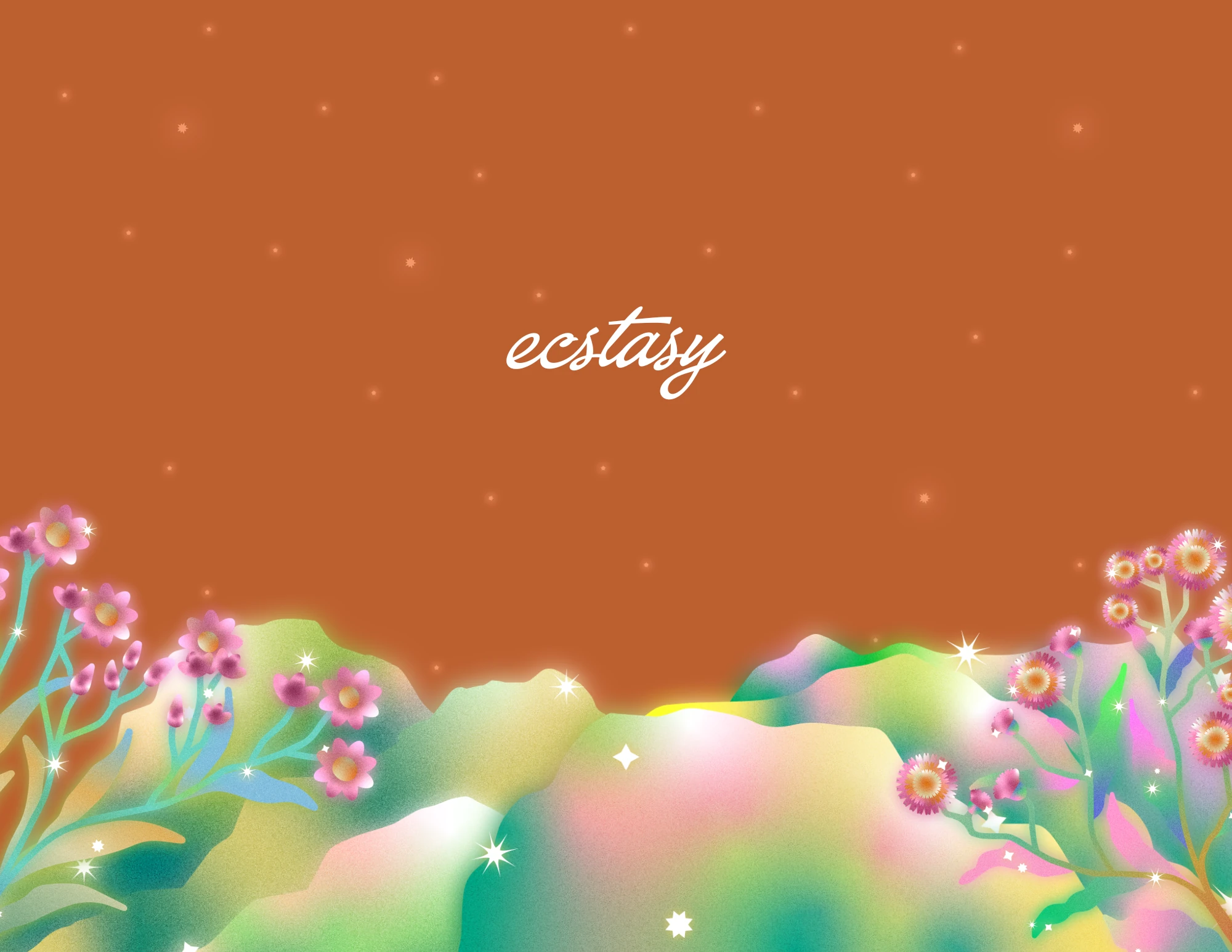 Wildflower Edition — back cover