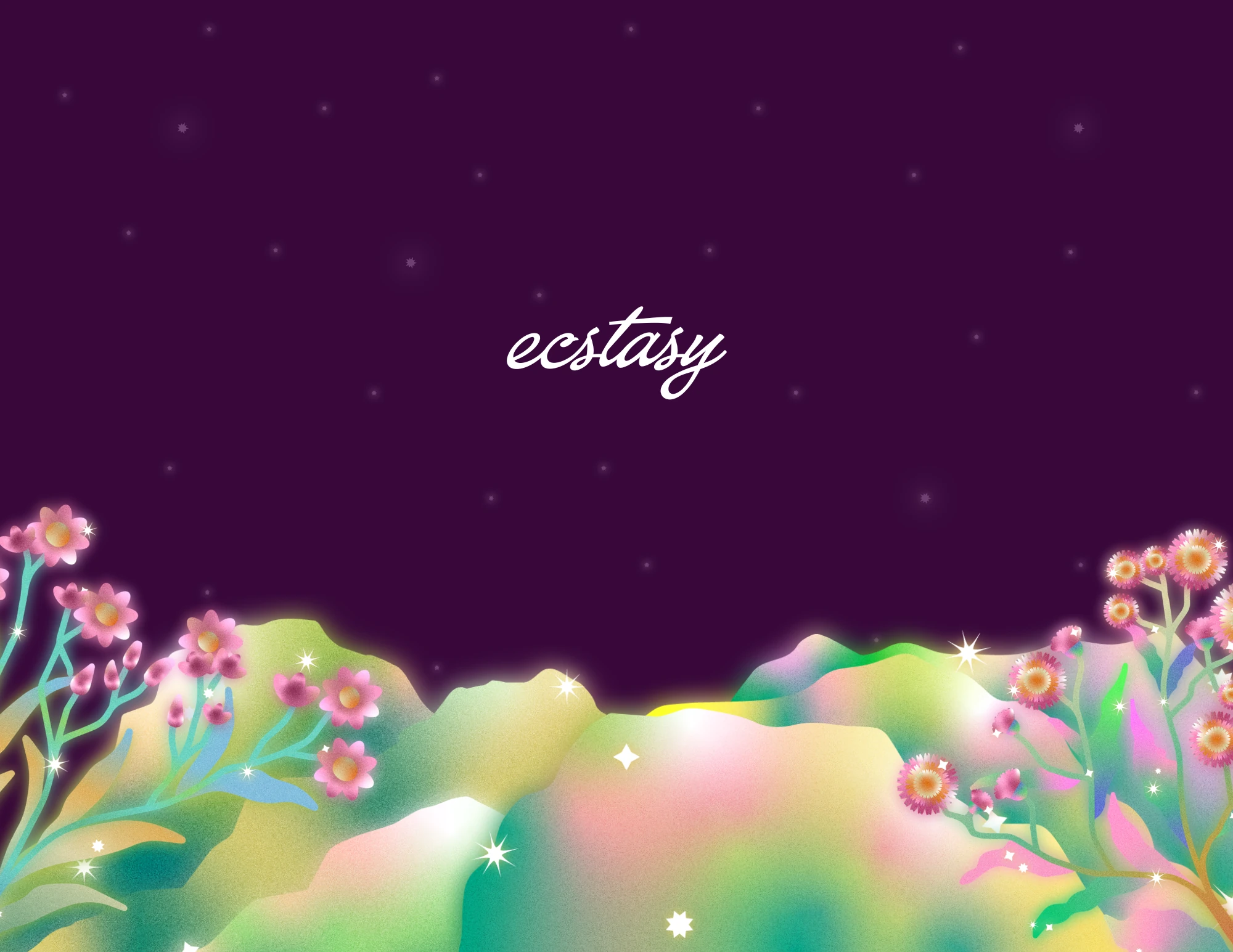 Nightfall Edition — back cover