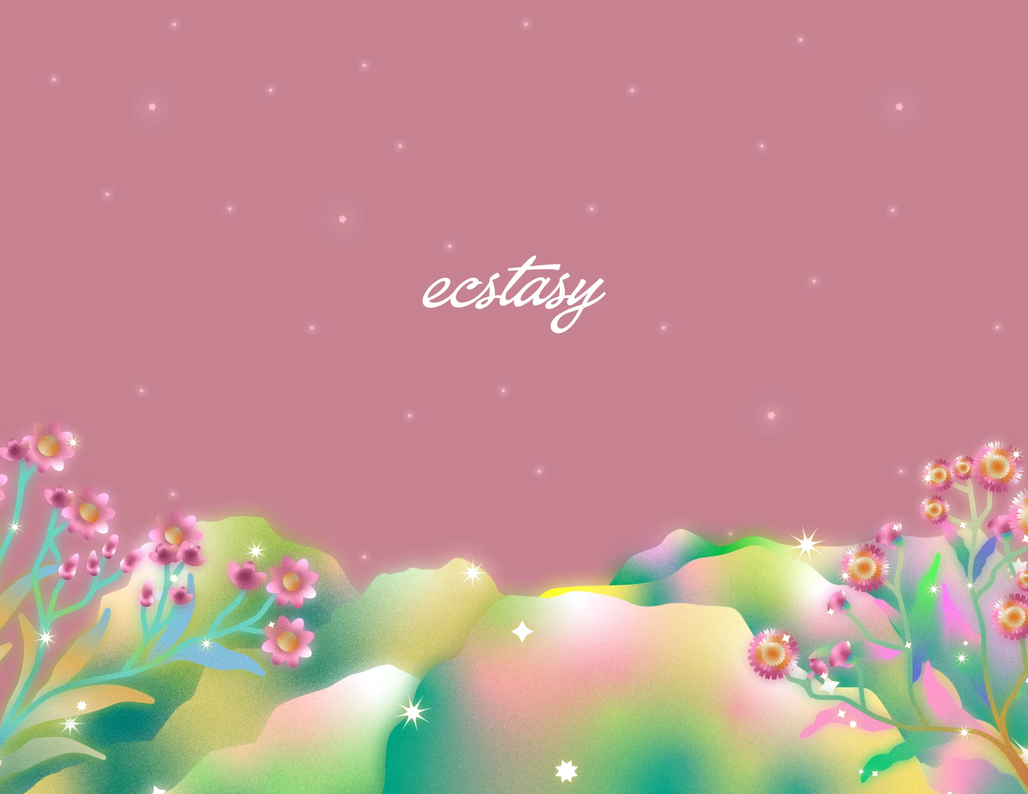 Candy Edition — back cover
