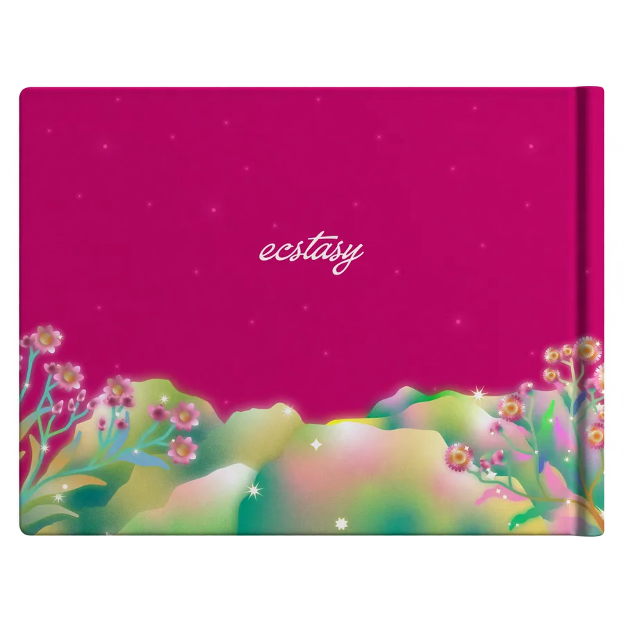 Fiesta Edition — back cover